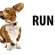 Illustration for article titled How Your Dog Knows an Earthquake Is Coming Way Before You Do